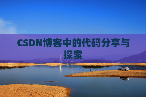 CSDN博客中的代码分享与探索